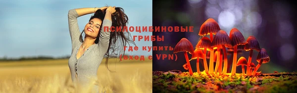 трава Балахна