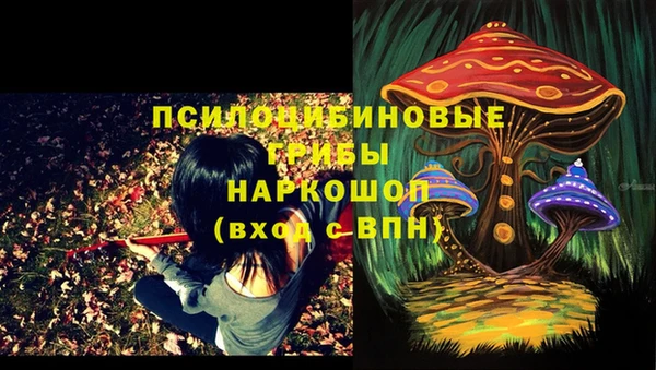 трава Балахна