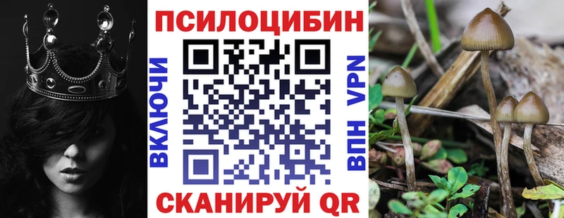 гидра как зайти  Цивильск  Псилоцибиновые грибы MAGIC MUSHROOMS 
